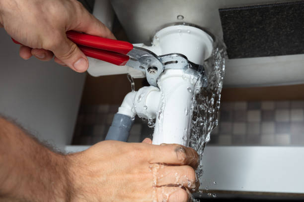 Best Water damage cleanup near me  in Diamond Ridge, AK