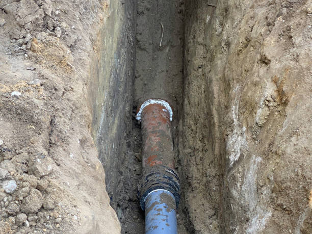 Best Flood damage cleanup  in Diamond Ridge, AK