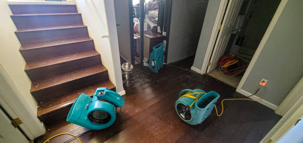 Best Sewage cleanup and water damage restoration  in Diamond Ridge, AK