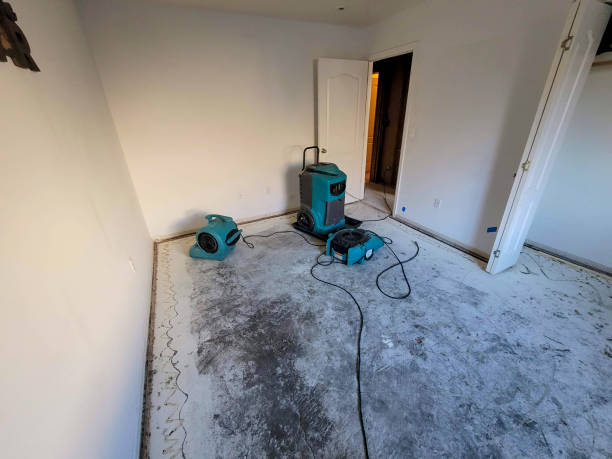 Trusted Diamond Ridge, AK Water damage restoration Experts