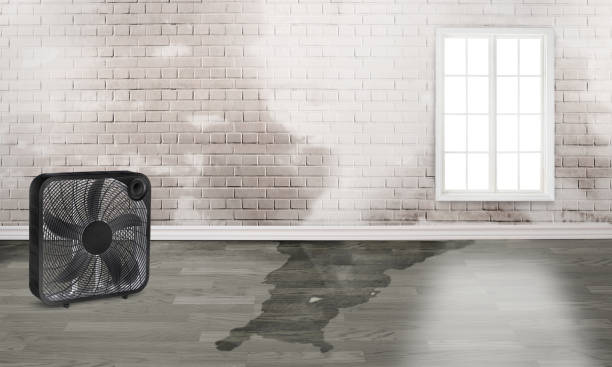 Water damage restoration mold remediation in Diamond Ridge, AK