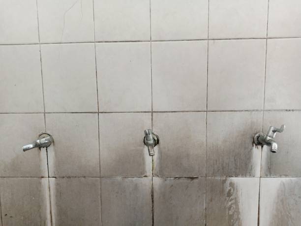 Best Water damage restoration near me  in Diamond Ridge, AK