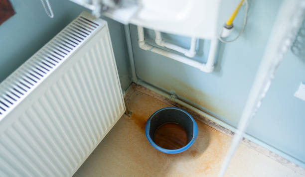 Best Flooded house restoration  in Diamond Ridge, AK