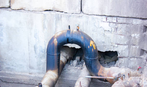 Best Basement water damage restoration  in Diamond Ridge, AK