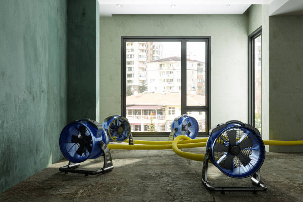 Best 24/7 water damage repair  in Diamond Ridge, AK