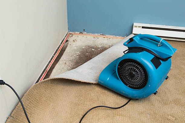 Best Water damage restoration near me  in Diamond Ridge, AK
